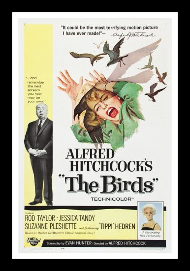 THE BIRDS * 1SH ORIG MOVIE POSTER HITCHCOCK 1963 HORROR  