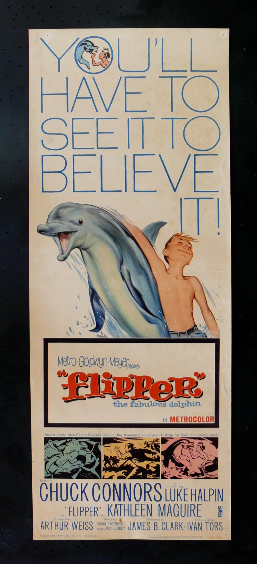 FLIPPER *ORIG MOVIE POSTER INSERT FISH SWIM DOLPHIN 63  